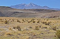 bolivia 442    rr  
